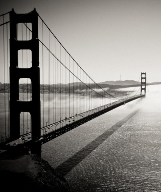 Bridge In The Fog sfondi gratuiti per 640x1136