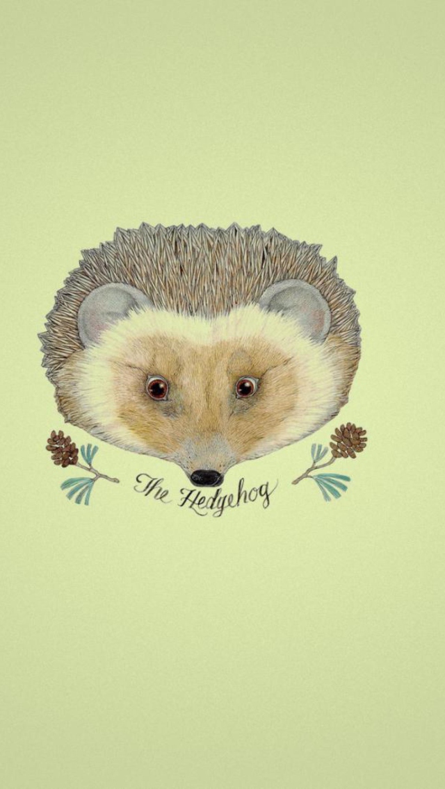 Hedgehog wallpaper 640x1136