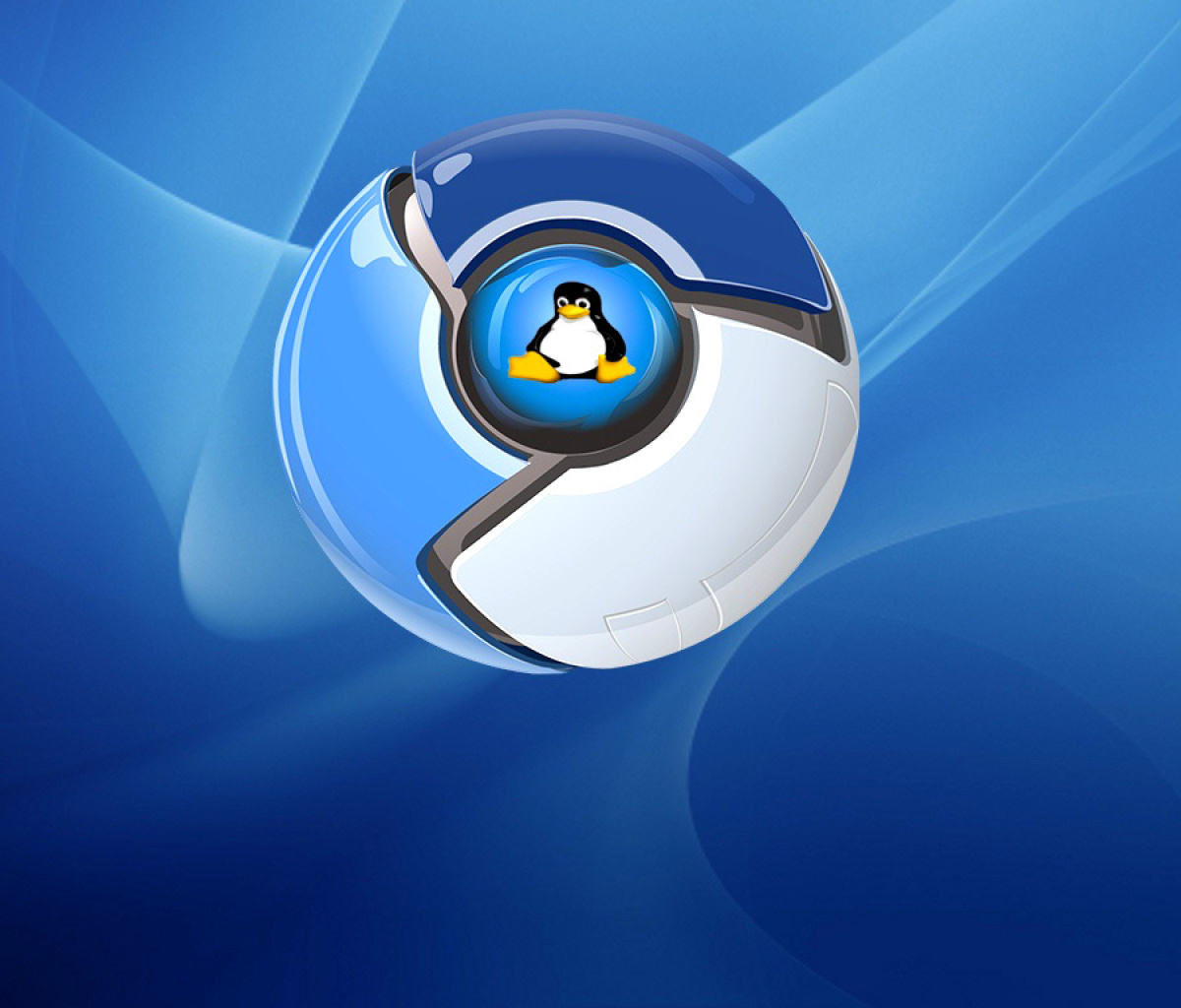 Fondo de pantalla Google Chrome for Linux 1200x1024