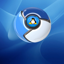Screenshot №1 pro téma Google Chrome for Linux 208x208