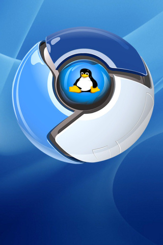 Fondo de pantalla Google Chrome for Linux 320x480