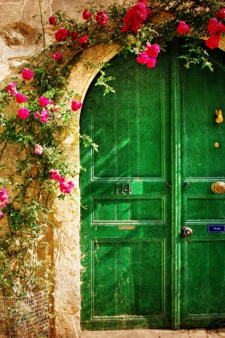 Picturesque Old House Door screenshot #1 320x480