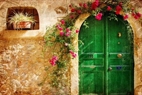 Sfondi Picturesque Old House Door 480x320