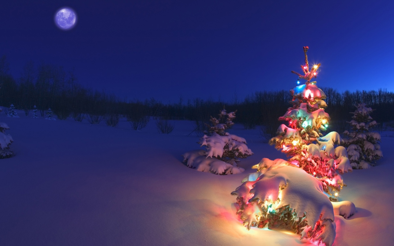 Screenshot №1 pro téma Christmas Tree 1280x800