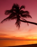 Crimson Sunset screenshot #1 128x160