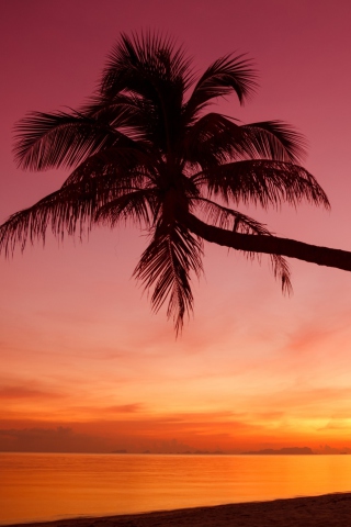 Crimson Sunset screenshot #1 320x480