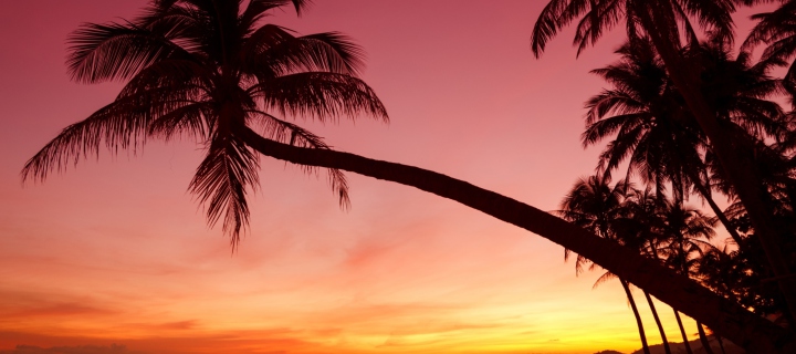 Fondo de pantalla Crimson Sunset 720x320