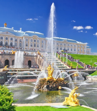 Peterhof In Saint-Petersburg - Obrázkek zdarma pro 480x800