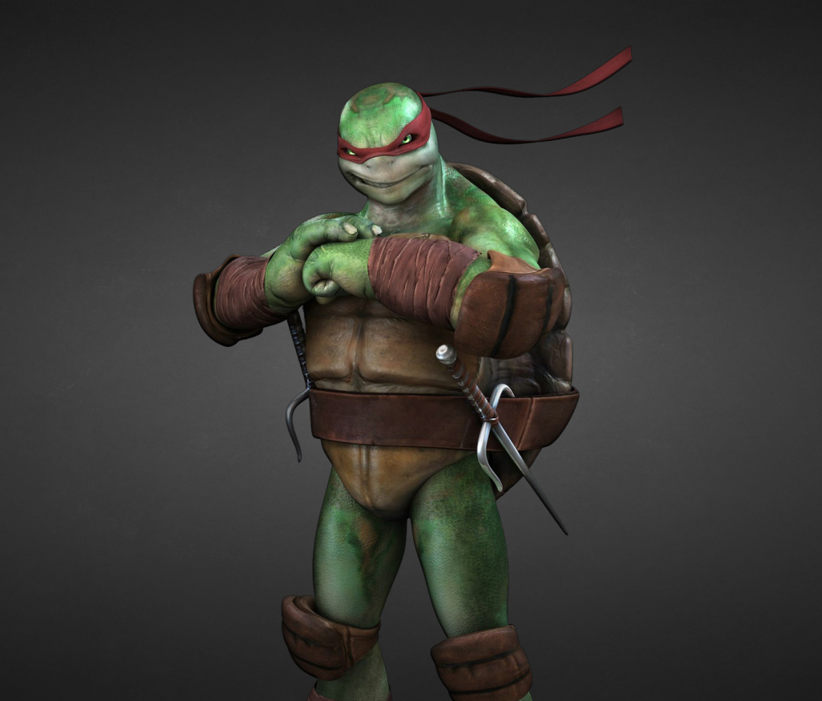 Обои Tmnt, Teenage mutant ninja turtles 1200x1024