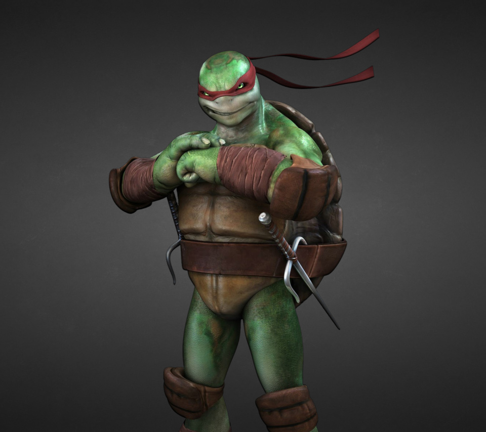 Das Tmnt, Teenage mutant ninja turtles Wallpaper 960x854