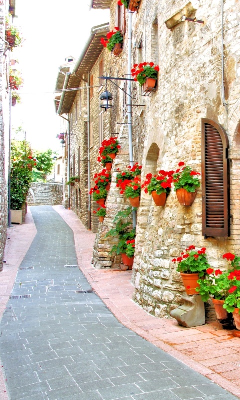 Italian Streets on Garda wallpaper 480x800