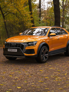 Sfondi Audi Q8 6X6 Off Road 240x320