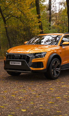 Fondo de pantalla Audi Q8 6X6 Off Road 240x400