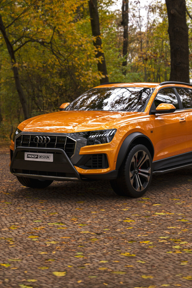 Sfondi Audi Q8 6X6 Off Road 640x960