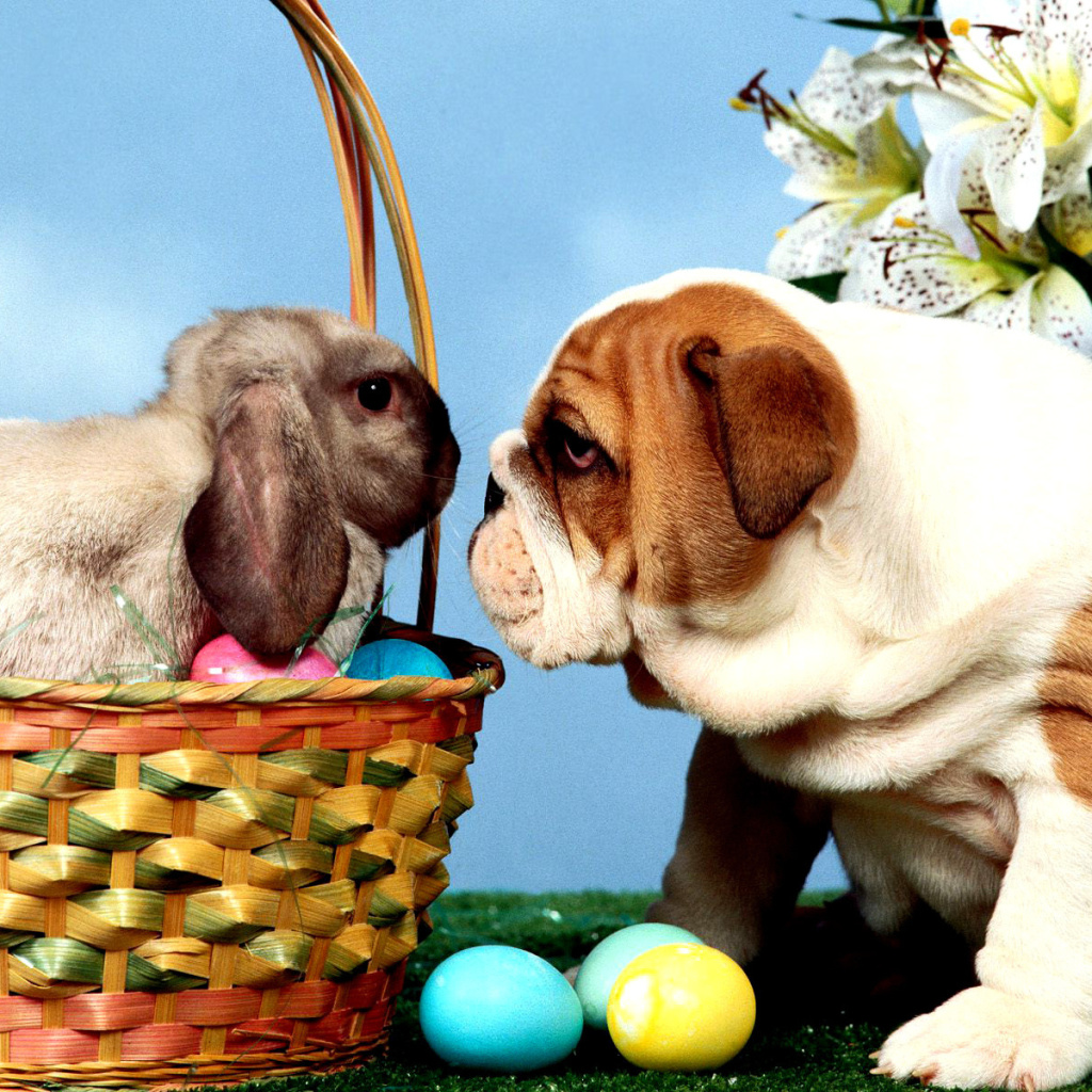 Das Easter Dog and Rabbit Wallpaper 1024x1024