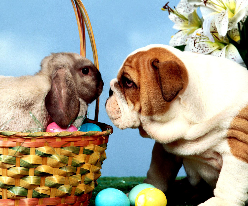 Fondo de pantalla Easter Dog and Rabbit 960x800