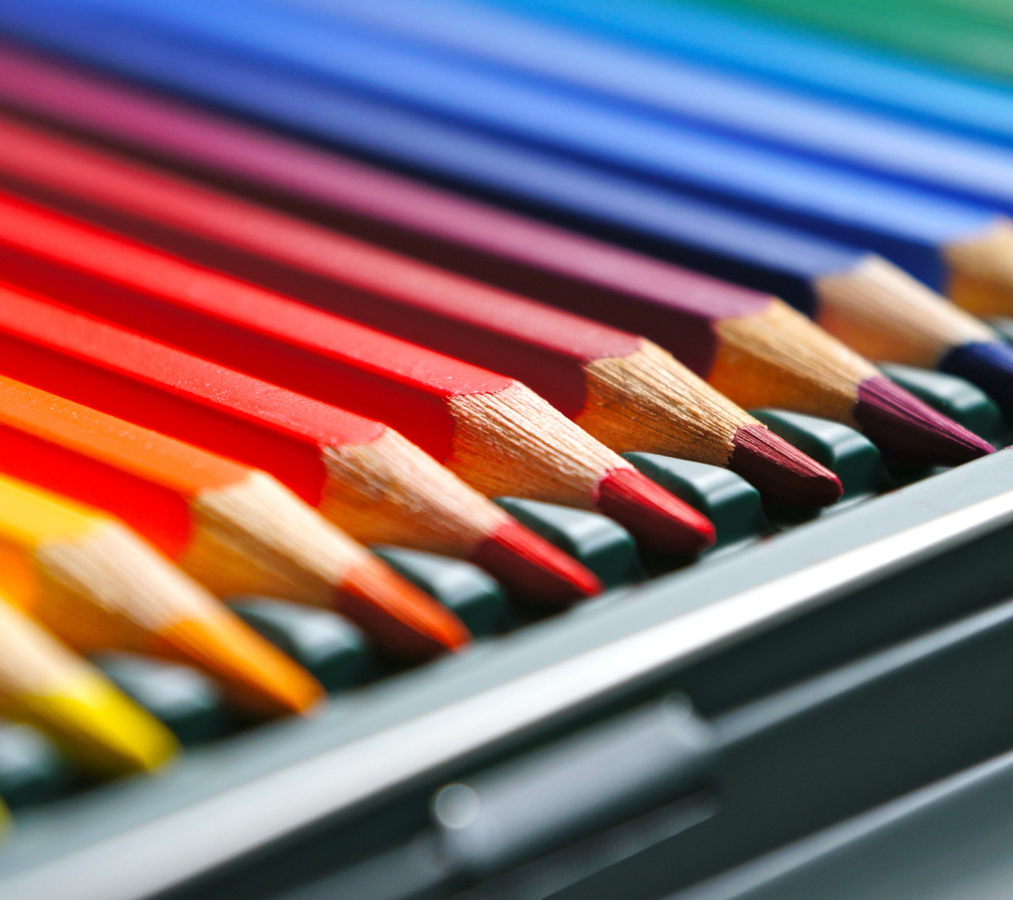 Coloured Pencils wallpaper 1440x1280