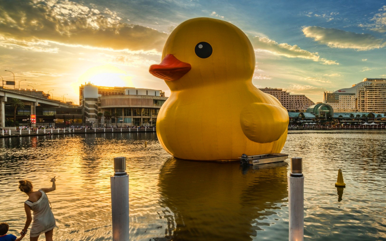 Sfondi Giant Yellow Duck 1280x800