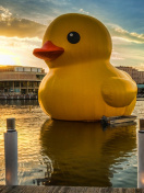 Sfondi Giant Yellow Duck 132x176