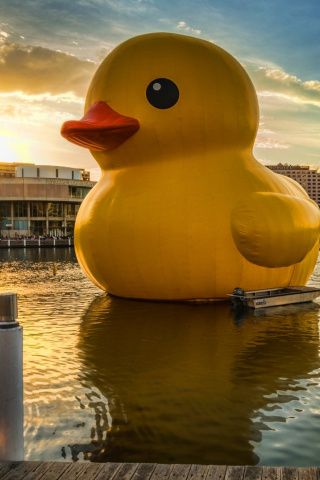 Sfondi Giant Yellow Duck 320x480