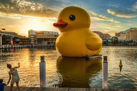 Обои Giant Yellow Duck 480x320