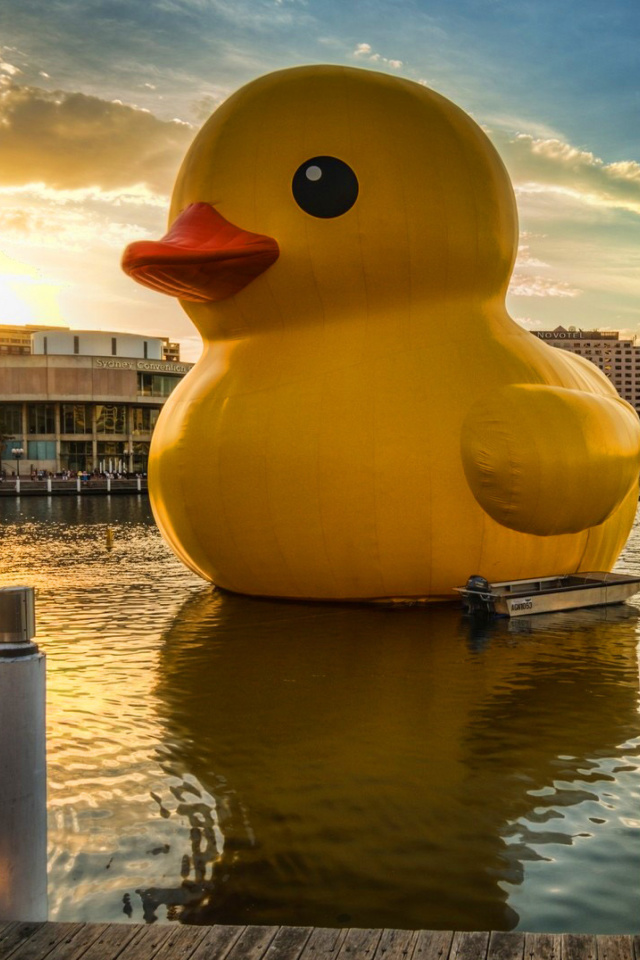 Обои Giant Yellow Duck 640x960