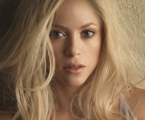 Blonde Shakira screenshot #1 480x400