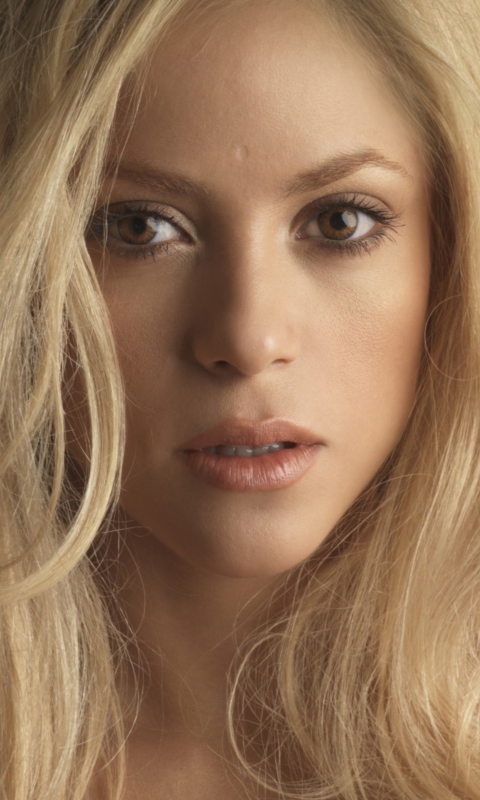 Screenshot №1 pro téma Blonde Shakira 480x800