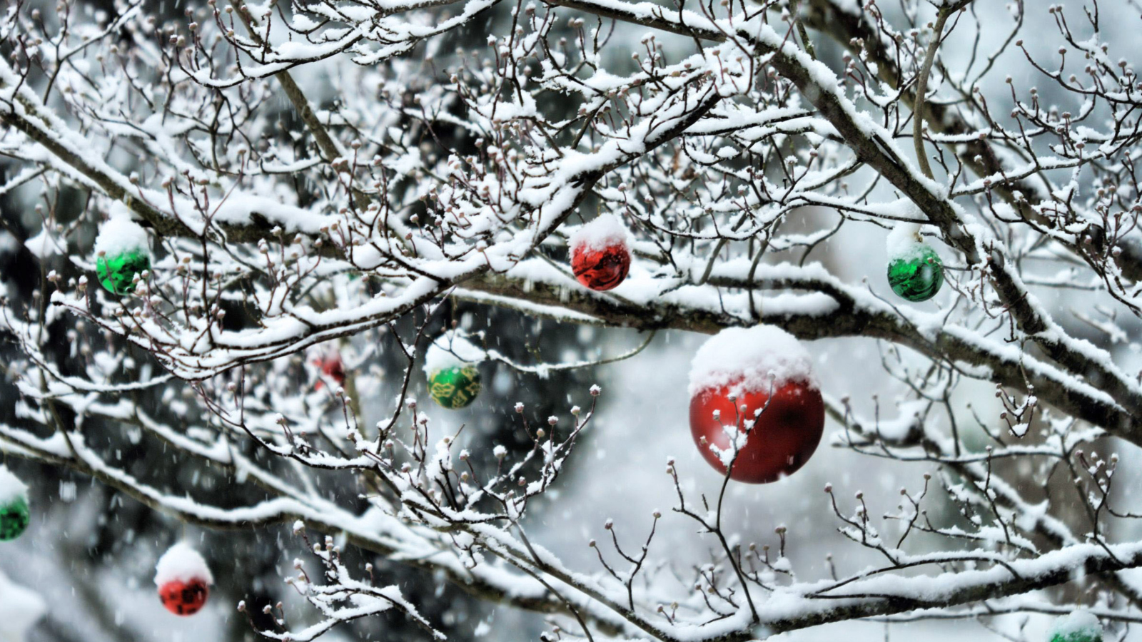 Decorated Tree Branches screenshot #1 1600x900