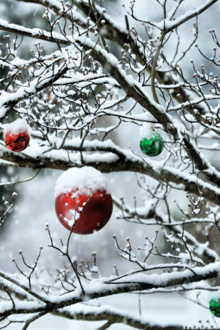Decorated Tree Branches screenshot #1 320x480