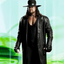 Screenshot №1 pro téma Undertaker WCW 208x208