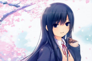 Anime Girl Cherry Blossom Picture for Android, iPhone and iPad