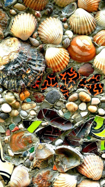Das Shells and Pebbles Wallpaper 360x640