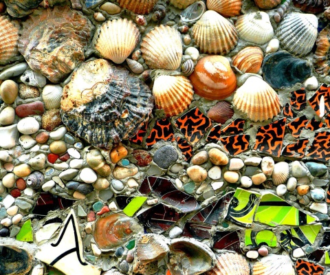 Обои Shells and Pebbles 480x400