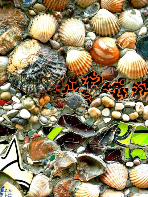 Fondo de pantalla Shells and Pebbles 480x640