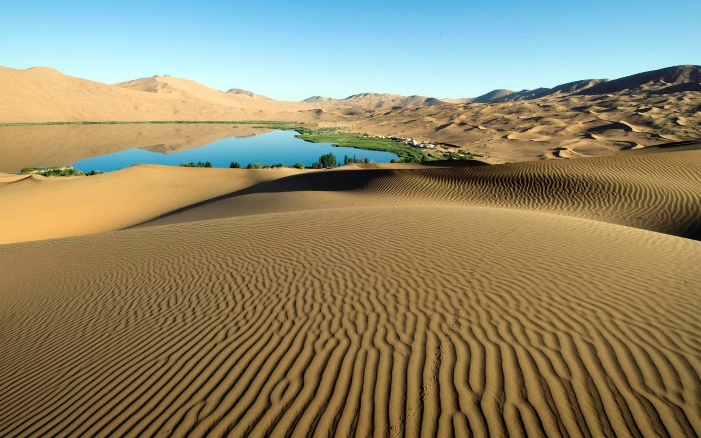 Fondo de pantalla Sand Dunes 1440x900