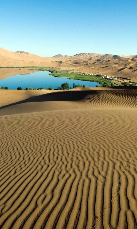 Fondo de pantalla Sand Dunes 480x800