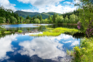 Scotland Landscape - Obrázkek zdarma pro 1600x1200