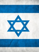 Israel Flag screenshot #1 132x176