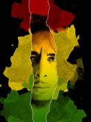 Screenshot №1 pro téma Bob Marley 132x176
