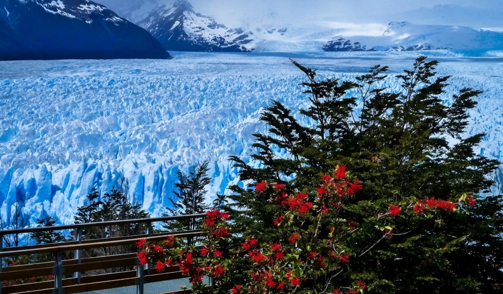 Screenshot №1 pro téma Perito Moreno Glacier 1024x600