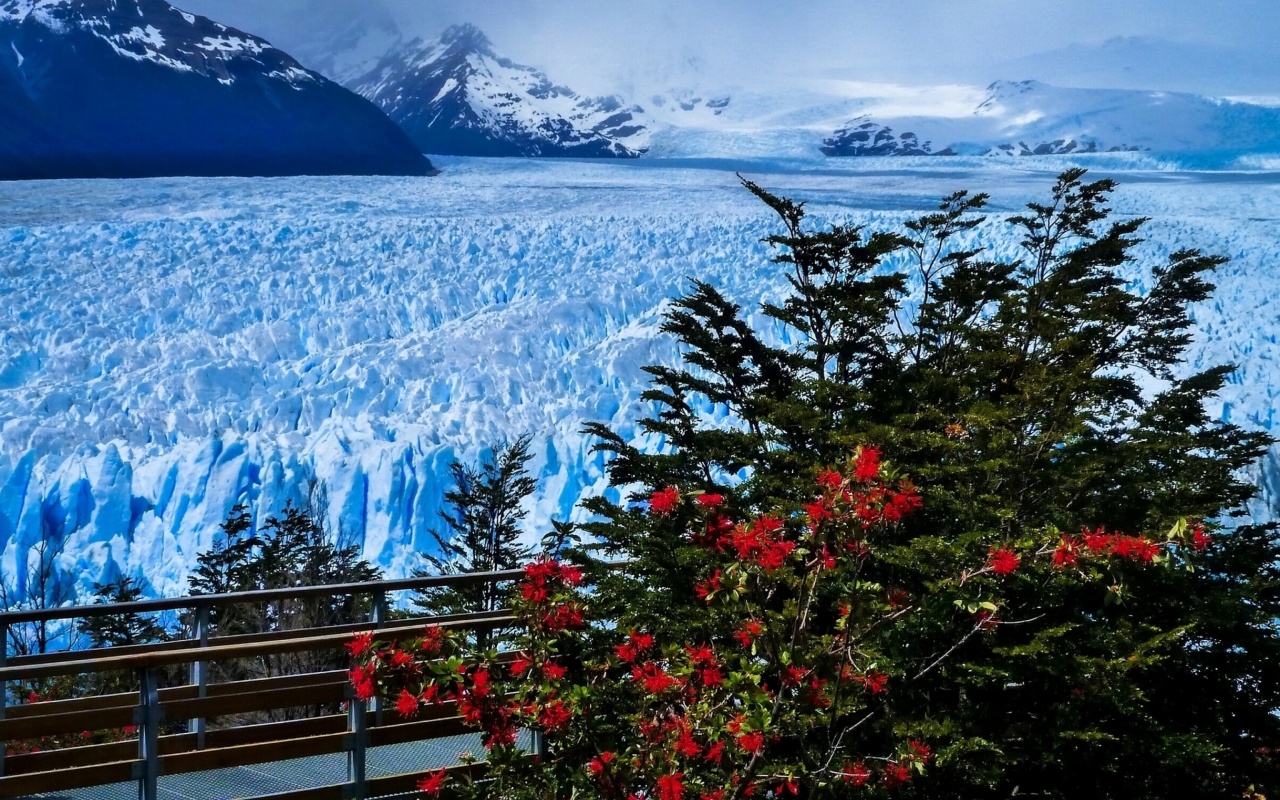 Fondo de pantalla Perito Moreno Glacier 1280x800