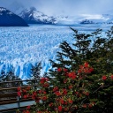 Screenshot №1 pro téma Perito Moreno Glacier 128x128