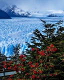 Das Perito Moreno Glacier Wallpaper 128x160