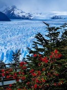 Fondo de pantalla Perito Moreno Glacier 132x176