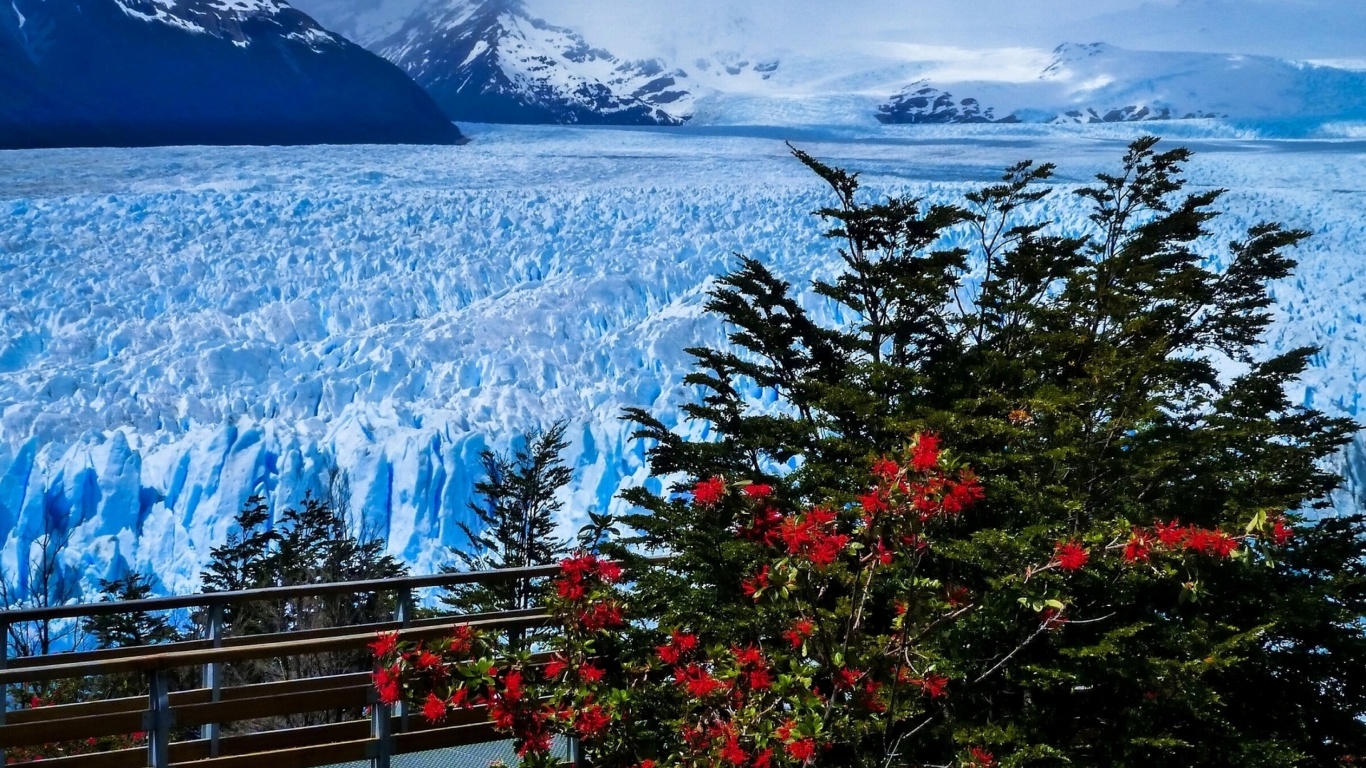 Обои Perito Moreno Glacier 1366x768