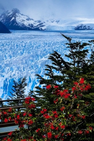 Fondo de pantalla Perito Moreno Glacier 320x480