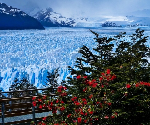 Das Perito Moreno Glacier Wallpaper 480x400