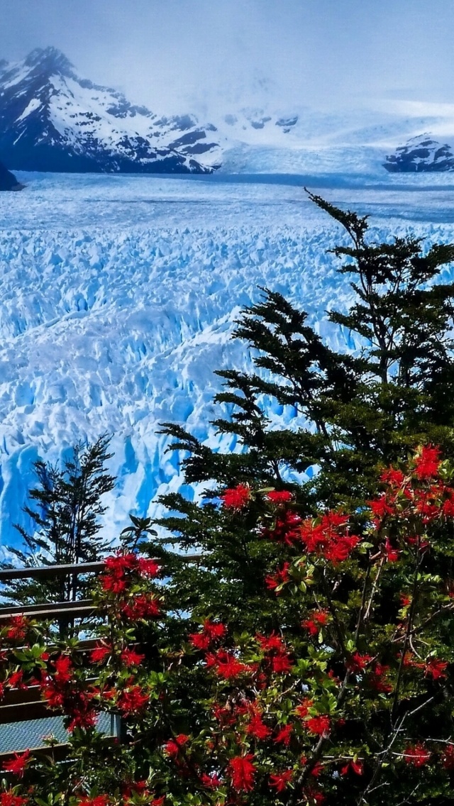 Обои Perito Moreno Glacier 640x1136