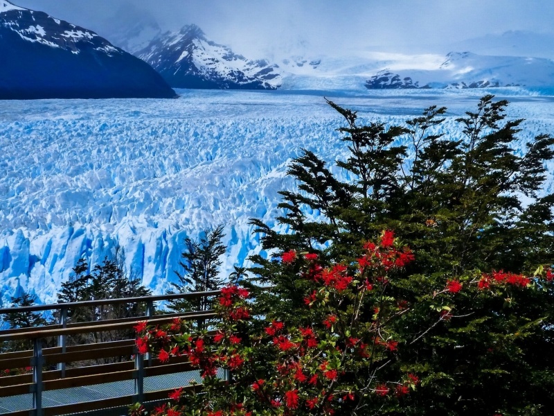Das Perito Moreno Glacier Wallpaper 800x600